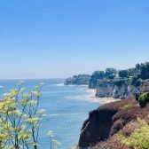 paradise cove mobile point dume club malibu homes for sale